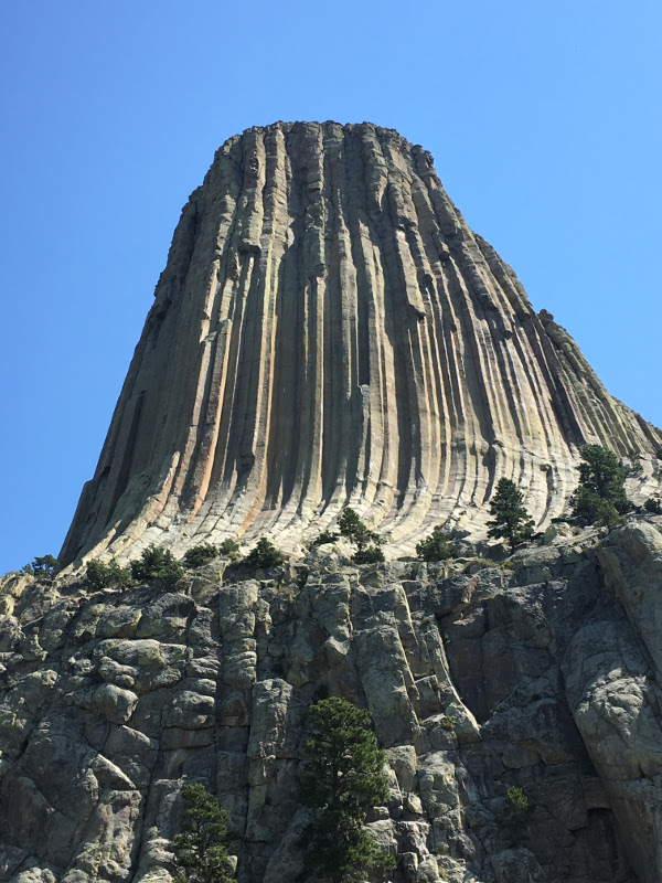 Devil's Tower sticking out of the Wyoming countryside.