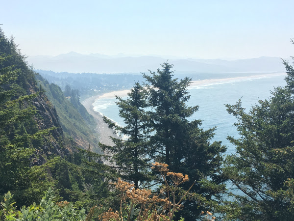 A view of the Oregon Coast meeting the Pacific Ocean
