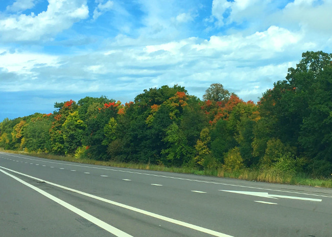 The leaves were just beginning to change in western Minnesota along I-94.